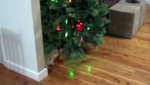 Crazy Cat Attacks Christmas Tree - again and again