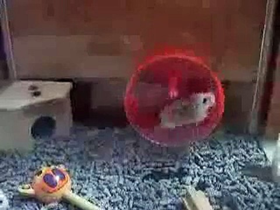 My robo flying off the wheel while running...