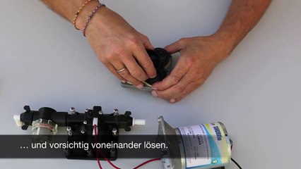 Lilie by SHURflo Druckpumpe zerlegen und reinigen
