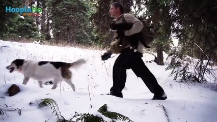 War Vet Finds Healing Thrill in Adventure Therapy with Cat and Dog