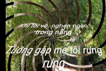 Đường Xưa Lối Cũ