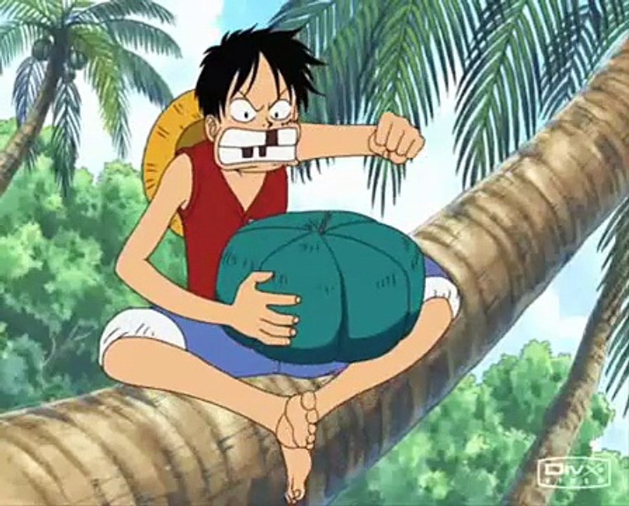 One Piece - Found a Peanut