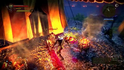 The Witcher 2 - the Blood Curse (assassins fight) | Dark Mode [1080]