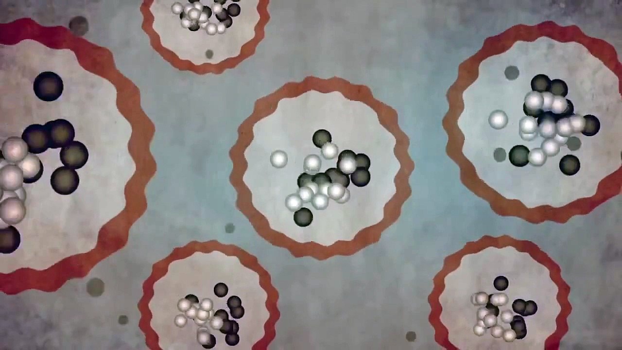 Radioactive: The Atom (Building Block of the Universe)