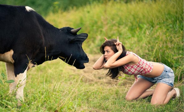 Funny Videos - Funny Fails - Funny Pranks - Stupid people - Try not to laugh