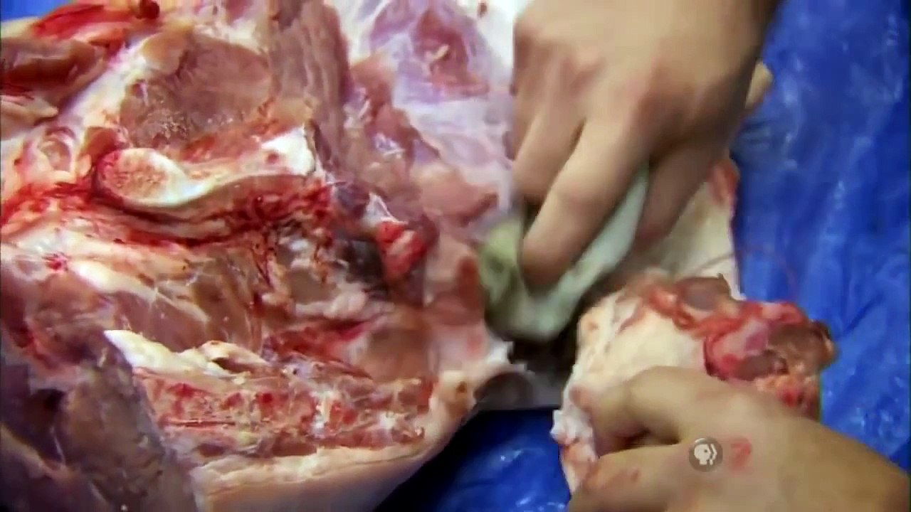 Body Language Secrets