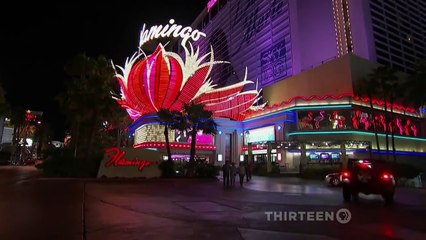 The Fabric of the Cosmos