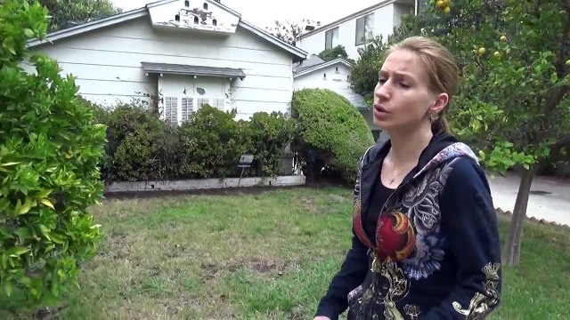 Советы по изучению английского языка или как легко выучить язык