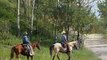 Horse Training Videos - Horse Training Tips - Horse Training DVD