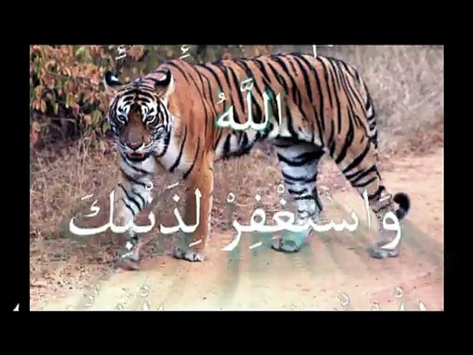 allah miracles عجائب وغرائب في قدرة الله لااله الا الله