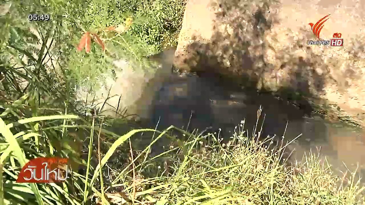 วันใหม่ Thai PBS 16 มิ.ย. 58 (2/2)