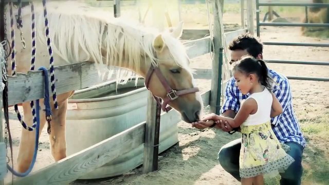 Alex Campos - Dije adiós