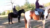We are perfect riders so we want to share with you the How to ride your horse