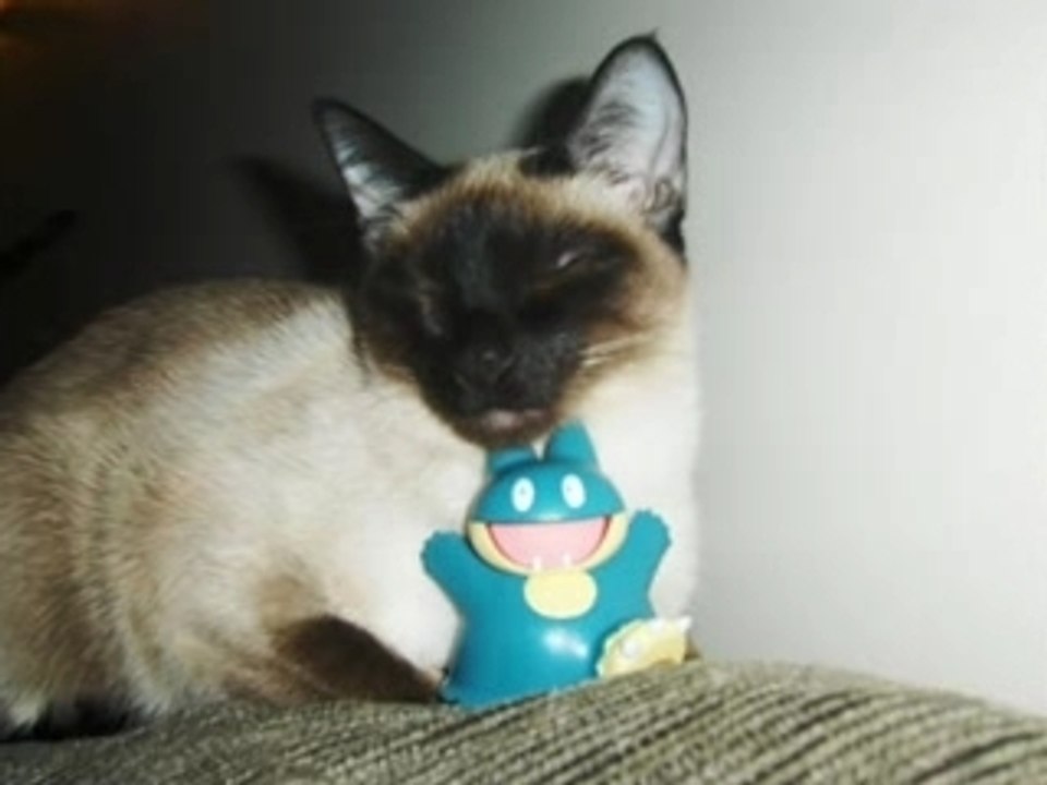 Tina