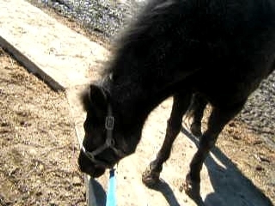 Nika et moi qui manque de tomber XD