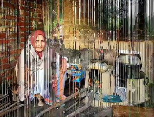 (1) Shahid Iqbal neet