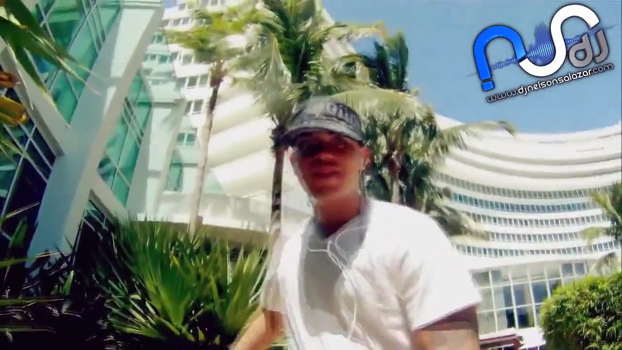 Dj Nelson Salazar - Video Reggaeton Mix 2012 (MegaMix Versión 26 Exitos) HD