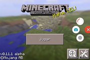 Minecraft 0.11.1 apk descarga server