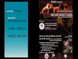 IFMSA - Corteza Cerebral y Áreas de Brodmann 2012 - Dr. Juan Carlos Núñez Matos