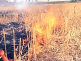 1 Billion Dollars Burning in the Wheat Fields of Pakistan.mpeg