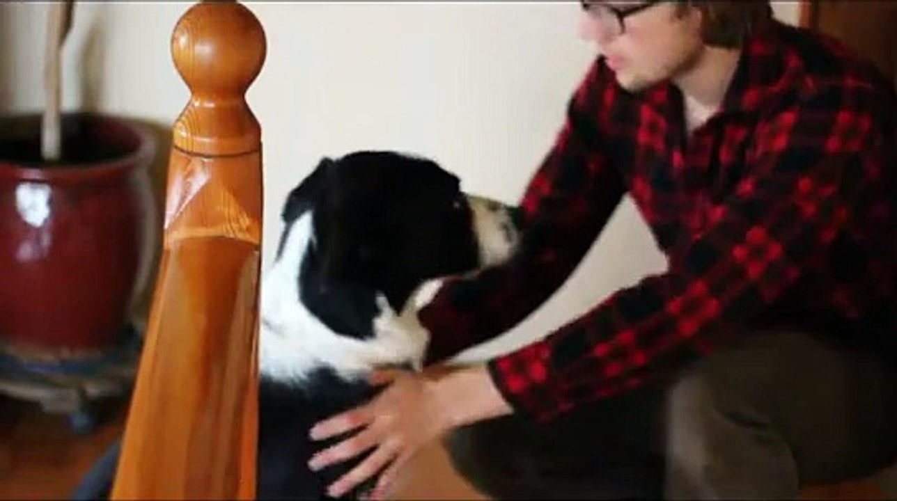 Walter finds his toy