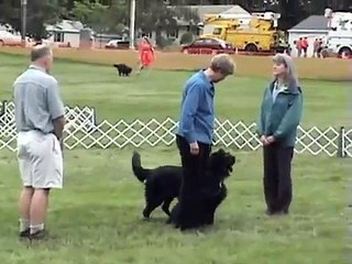 2009 FCRSA Brace w/ Adele/Gryffin/Ty