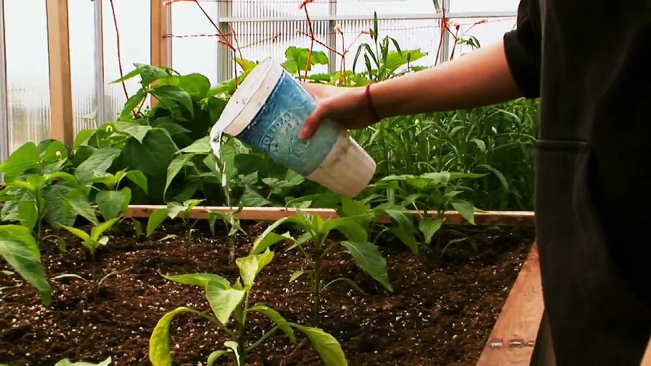 Nome Youth Facility Recruitment Video - Nome, Alaska