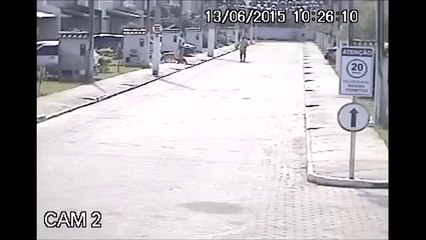 Bocão News: PM mata cão da vizinha que urinou em gramado