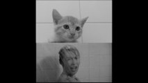 Hitchcock Psycho' Shower Scene Remade With Kittens, And It's Terrifying