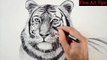 Free Drawing Tutorials   Learn to Draw With Fine Art Tips