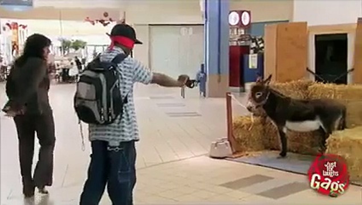 Real Donkey Tail Prank!
