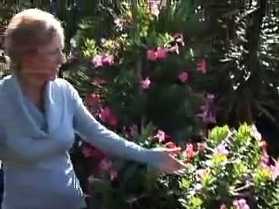 Awareness Effect™ Change & Clear Limiting Subconscious Beliefs Instantly & Effortlessly