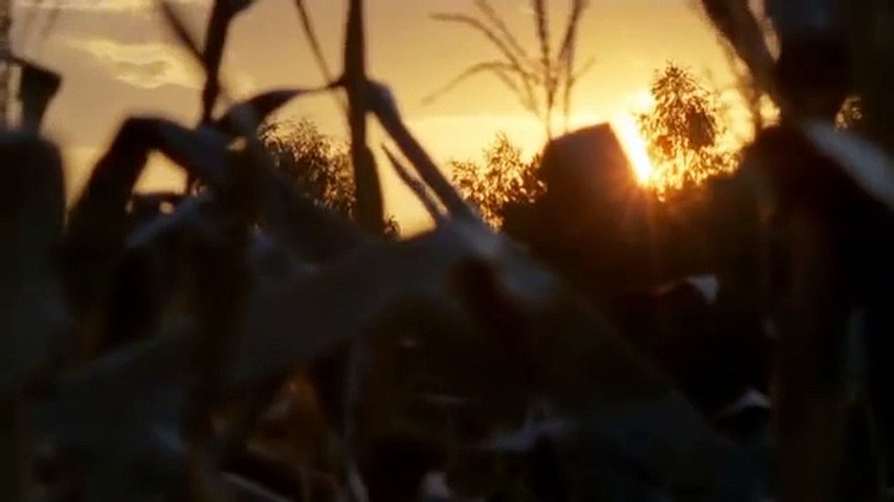 Messengers 2: The Scarecrow