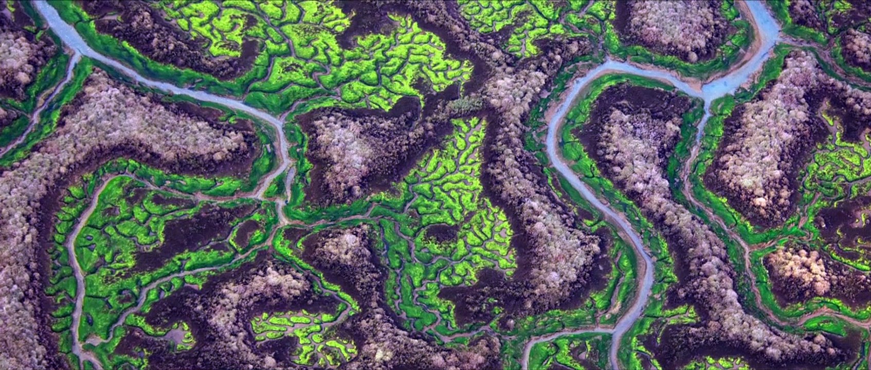 LA ISLA MINIMA - Bande-annonce VO