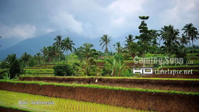 UHD, Ultra HD 2K 4K 5K+ Video Time Lapse Stock Footage South East Asia