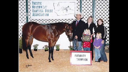 2003 AQHA Bay Western Pleaure Show Mare- Multiple Winner ready for Youth or Amateur