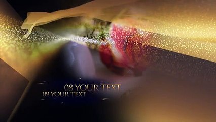 After Effects Project Files - Wedding Gold Album - VideoHive 10653571