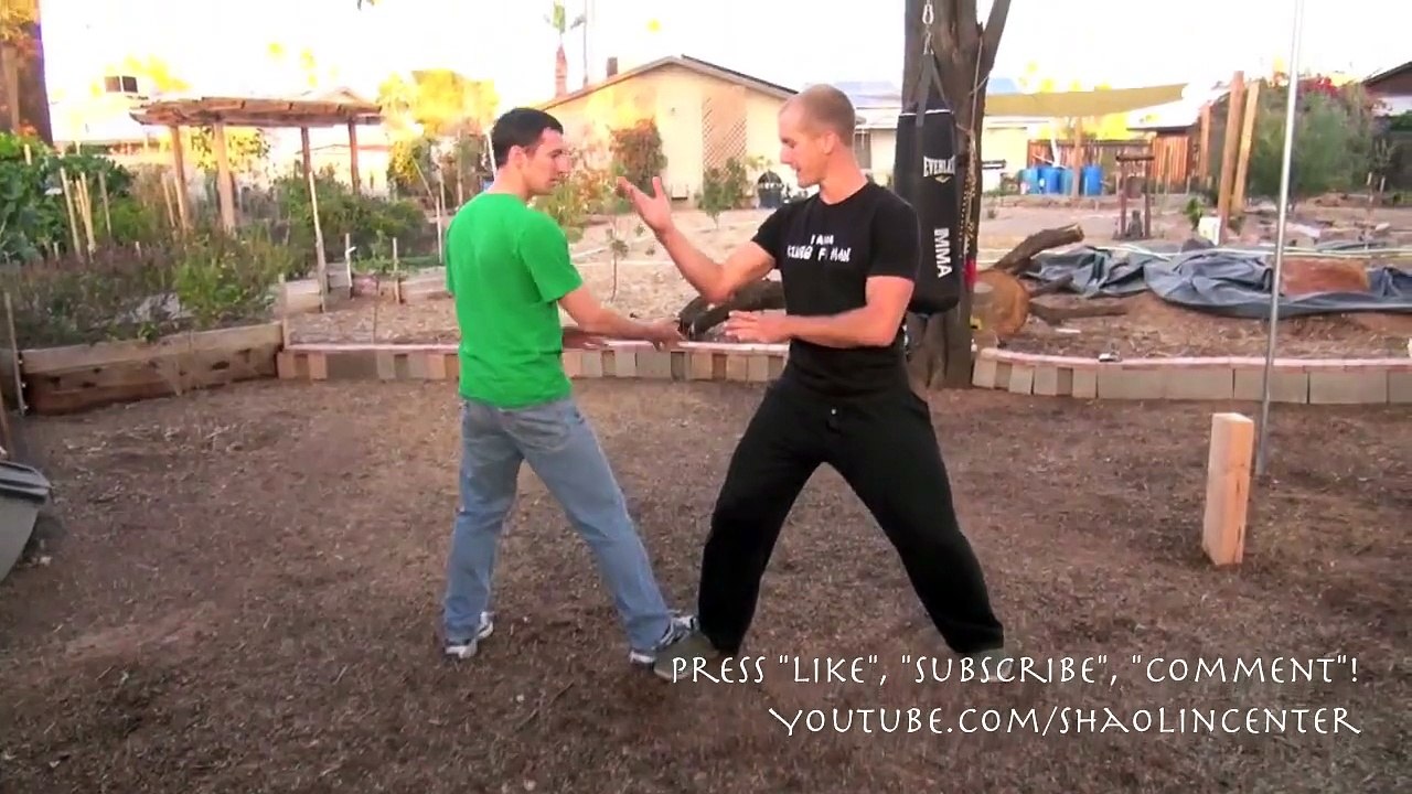 Tai Chi Combat - Push Hands