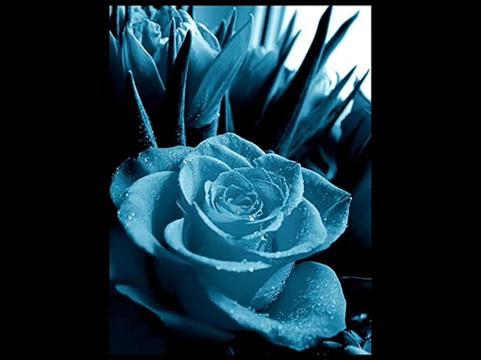 Still Loving You - Sonata Arctica