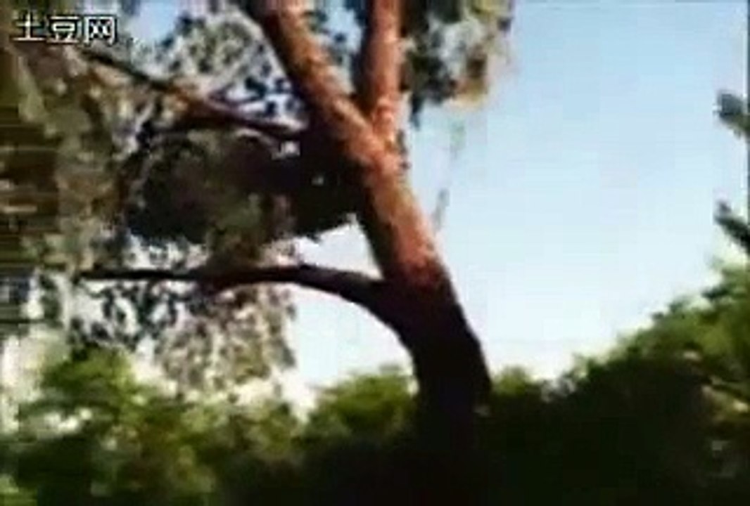 OVNIS REALES O FAKE?