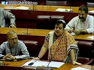 Dr Shireen Mazari Speech On Budget 2015 In National Assembly