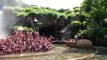 Splash Mountain POV Log Flume Water Ride Tokyo Disneyland Japan 1080p HD