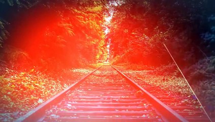 After Effects Project Files - My Wild Journey - VideoHive 9372716