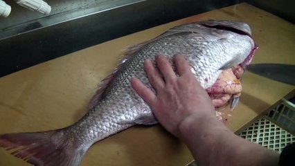 三代目魚熊の魚のさばき方！（マダイ）真鯛