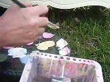 How to Paint Shabby Chic Roses Furniture