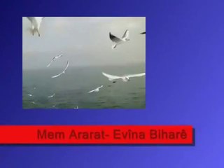 Mem Ararat - Evîna Biharê