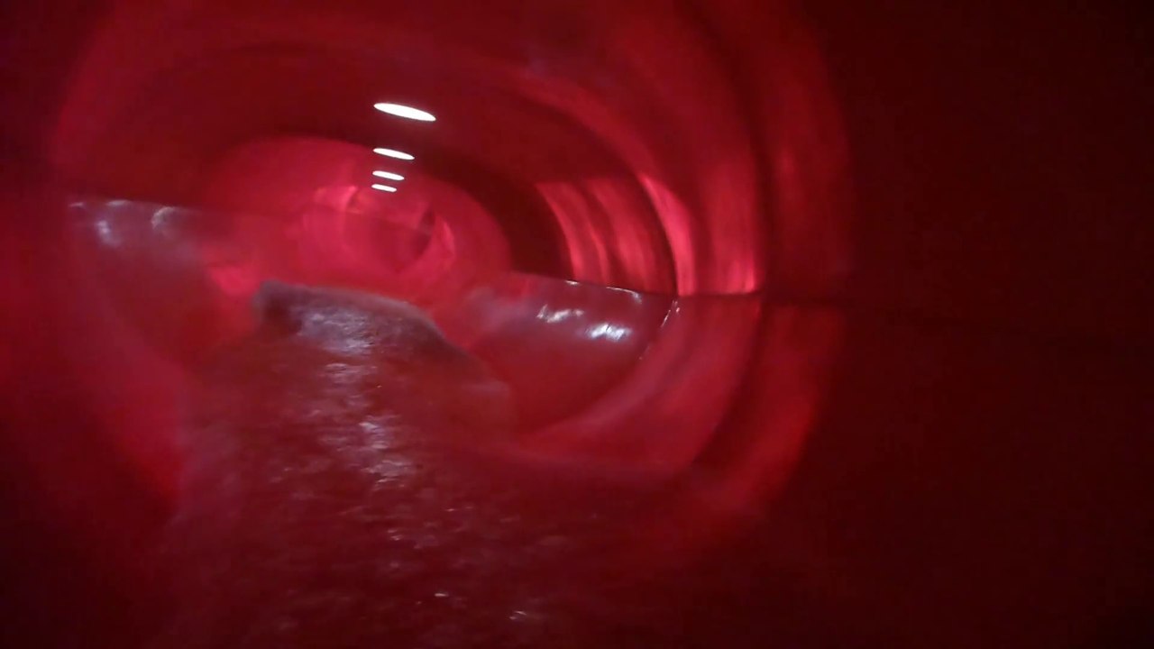 Kristall palm beach stein - saturn onride