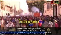 تقرير ناري للجزيرة ... عام  2013 حراكاً شعبياً على مختلف الأحداث التي شهدتها مصر 1-1-2014