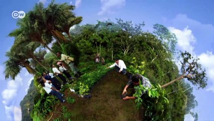 How the Maya are saving their rainforest | Global 3000