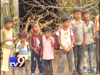 Download Video: What a paradox! Amreli pupils study in 'shacks' in Gujarat model of development - Tv9 Gujarati